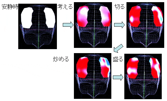 調理の各プロセス中の脳活動分布