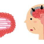 高齢者と腸内細菌　疾病・認知症編