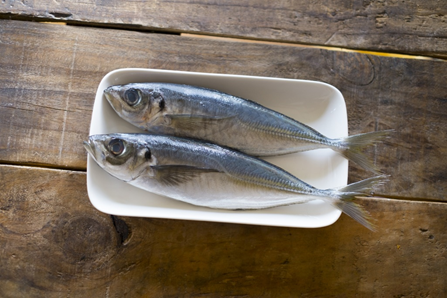 青背魚の栄養素と食べ方のポイント 配食のふれ愛