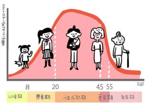 年齢による女性ホルモンの変化