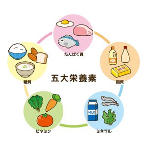 「新型栄養失調」とは？