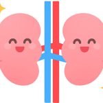 クレアチニンを下げる！腎臓病改善が期待できる食事とは